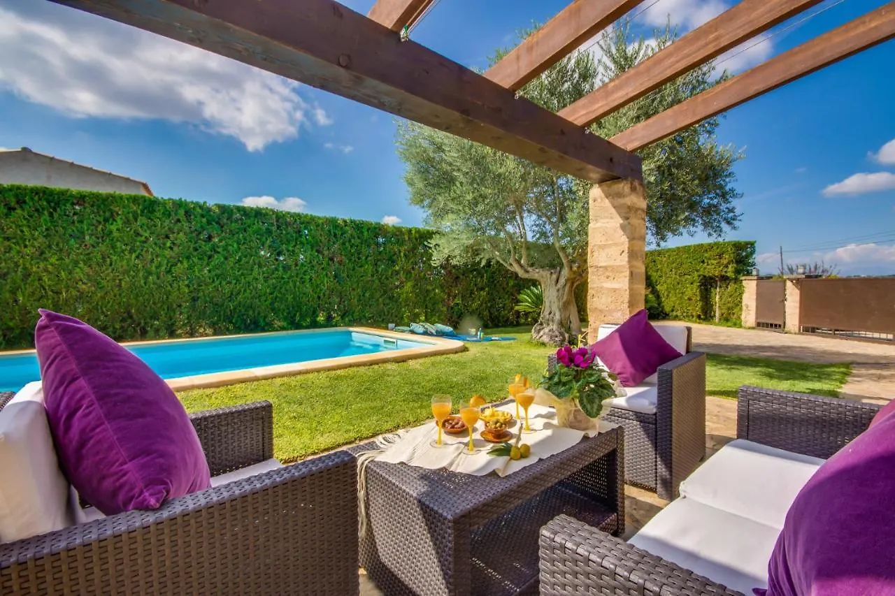 Ideal Property Mallorca - Es Puput Petra  Country house