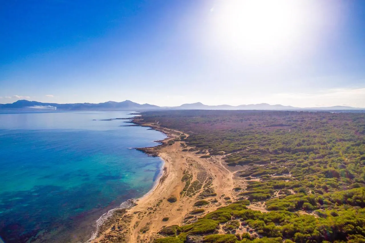 Ideal Property Mallorca - Es Puput Petra  Country house